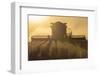 Farmer Harvesting Soybeans at Sunset, Marion County, Illinois-Richard and Susan Day-Framed Photographic Print