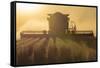 Farmer Harvesting Soybeans at Sunset, Marion County, Illinois-Richard and Susan Day-Framed Stretched Canvas