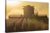 Farmer Harvesting Soybeans at Sunset, Marion County, Illinois-Richard and Susan Day-Stretched Canvas