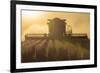 Farmer Harvesting Soybeans at Sunset, Marion County, Illinois-Richard and Susan Day-Framed Photographic Print