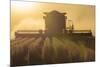 Farmer Harvesting Soybeans at Sunset, Marion County, Illinois-Richard and Susan Day-Mounted Photographic Print
