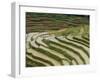 Farmer in Terraced Rice Paddies at Longsheng in North East Guangxi, China-Robert Francis-Framed Photographic Print