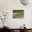 Farmer in Terraced Rice Paddies at Longsheng in North East Guangxi, China-Robert Francis-Photographic Print displayed on a wall