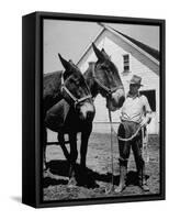 Farmer J. Vivian Truman, Brother of Harry Truman, Working with a Pair of Mules-null-Framed Stretched Canvas