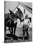 Farmer J. Vivian Truman, Brother of Harry Truman, Working with a Pair of Mules-null-Stretched Canvas