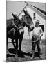 Farmer J. Vivian Truman, Brother of Harry Truman, Working with a Pair of Mules-null-Mounted Photographic Print