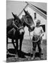 Farmer J. Vivian Truman, Brother of Harry Truman, Working with a Pair of Mules-null-Mounted Photographic Print