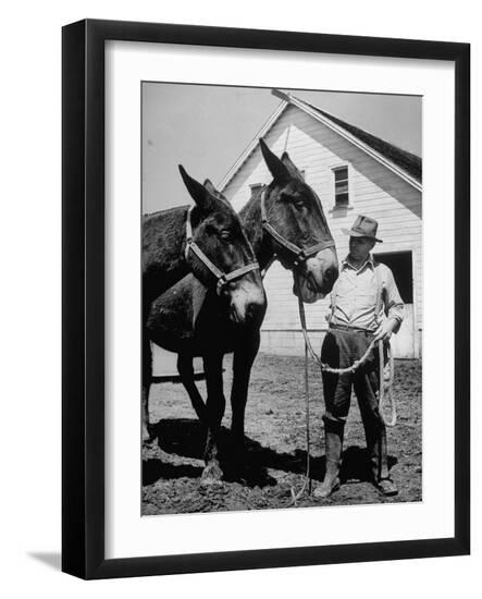 Premium Photographic Print, , large