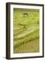 Farmer Leaving Tiny Shack in Rice Paddy Fields Laid in Shallow Terraces-Annie Owen-Framed Photographic Print