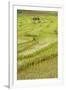 Farmer Leaving Tiny Shack in Rice Paddy Fields Laid in Shallow Terraces-Annie Owen-Framed Photographic Print