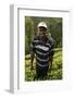 Farmer Lincoln Kimanthi Mugo picking tea, Kathangiri, Kenya-Godong-Framed Photographic Print