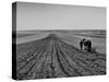 Farmer Lossening Top Soil of His Field-Dmitri Kessel-Stretched Canvas