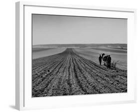 Farmer Lossening Top Soil of His Field-Dmitri Kessel-Framed Photographic Print