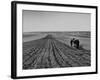 Farmer Lossening Top Soil of His Field-Dmitri Kessel-Framed Photographic Print