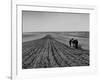 Farmer Lossening Top Soil of His Field-Dmitri Kessel-Framed Photographic Print