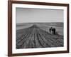 Farmer Lossening Top Soil of His Field-Dmitri Kessel-Framed Photographic Print