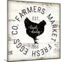 Farmer Market Eggs-Jennifer Pugh-Mounted Art Print