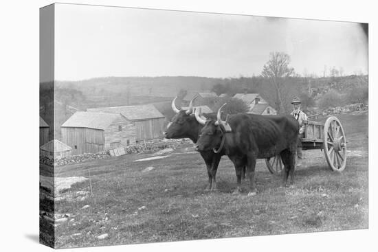 Farmer on Ox Cart-null-Stretched Canvas