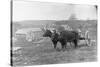 Farmer on Ox Cart-null-Stretched Canvas