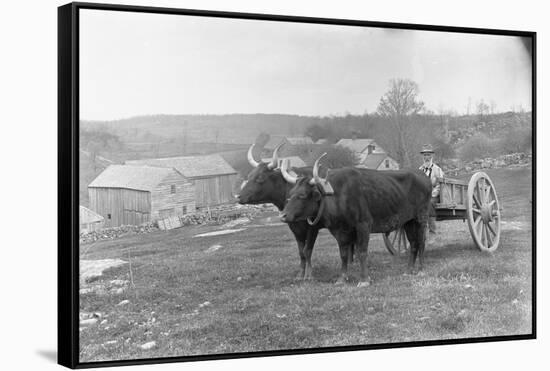 Farmer on Ox Cart-null-Framed Stretched Canvas