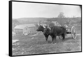 Farmer on Ox Cart-null-Framed Stretched Canvas