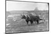 Farmer on Ox Cart-null-Mounted Premium Photographic Print