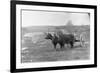 Farmer on Ox Cart-null-Framed Photographic Print