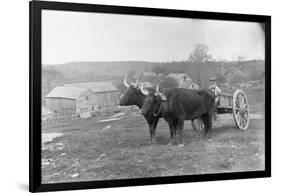 Farmer on Ox Cart-null-Framed Photographic Print