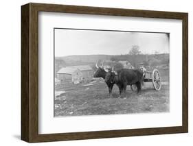 Farmer on Ox Cart-null-Framed Photographic Print