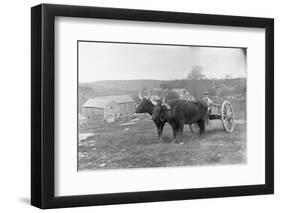 Farmer on Ox Cart-null-Framed Photographic Print