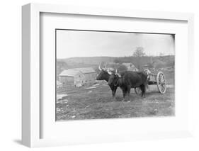 Farmer on Ox Cart-null-Framed Photographic Print