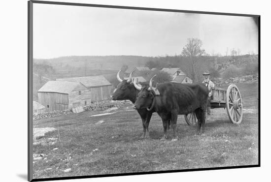 Farmer on Ox Cart-null-Mounted Photographic Print