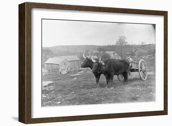 Farmer on Ox Cart-null-Framed Photographic Print