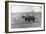 Farmer on Ox Cart-null-Framed Photographic Print