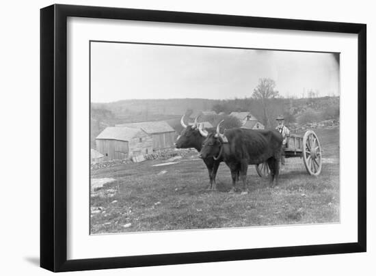 Farmer on Ox Cart-null-Framed Photographic Print