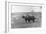 Farmer on Ox Cart-null-Framed Photographic Print