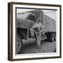 Farmer Paul Trent Holding Camera He Used to Photograph Flying Saucers-Loomis Dean-Framed Photographic Print