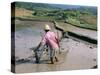 Farmer Ploughing Flooded Rice Field, Central Area, Island of Bali, Indonesia, Southeast Asia-Bruno Morandi-Stretched Canvas