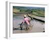 Farmer Ploughing Flooded Rice Field, Central Area, Island of Bali, Indonesia, Southeast Asia-Bruno Morandi-Framed Photographic Print