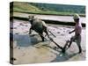 Farmer Ploughing Flooded Rice Field, Central Area, Island of Bali, Indonesia, Southeast Asia-Bruno Morandi-Stretched Canvas