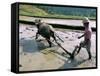 Farmer Ploughing Flooded Rice Field, Central Area, Island of Bali, Indonesia, Southeast Asia-Bruno Morandi-Framed Stretched Canvas