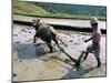 Farmer Ploughing Flooded Rice Field, Central Area, Island of Bali, Indonesia, Southeast Asia-Bruno Morandi-Mounted Photographic Print