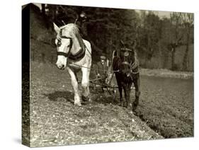 Farmer Ploughing His Field with Horses-null-Stretched Canvas