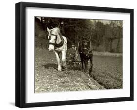 Farmer Ploughing His Field with Horses-null-Framed Photographic Print