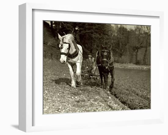 Farmer Ploughing His Field with Horses-null-Framed Photographic Print