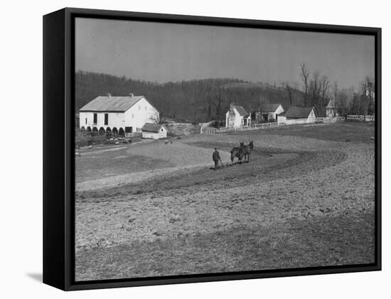 Farmer Plowing Field at "Shadwell", Birthplace of Thomas Jefferson-Alfred Eisenstaedt-Framed Stretched Canvas