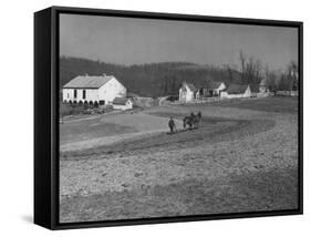 Farmer Plowing Field at "Shadwell", Birthplace of Thomas Jefferson-Alfred Eisenstaedt-Framed Stretched Canvas