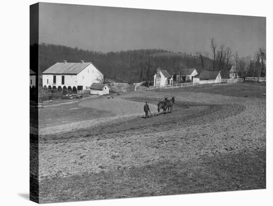 Farmer Plowing Field at "Shadwell", Birthplace of Thomas Jefferson-Alfred Eisenstaedt-Stretched Canvas