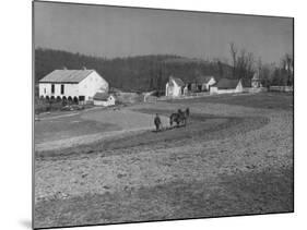 Farmer Plowing Field at "Shadwell", Birthplace of Thomas Jefferson-Alfred Eisenstaedt-Mounted Photographic Print