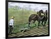 Farmer Plowing Sod with a Team of Horses, c.1800-null-Framed Premium Giclee Print